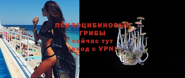 MDMA Premium VHQ Белокуриха