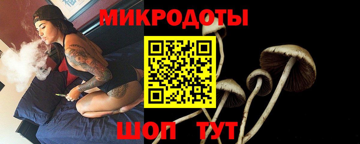 Верхняя Пышма  Псилоцибиновые грибы Psilocybine cubensis  Вход с VPN 