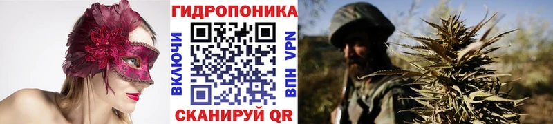 Каннабис конопля  Верхняя Пышма 